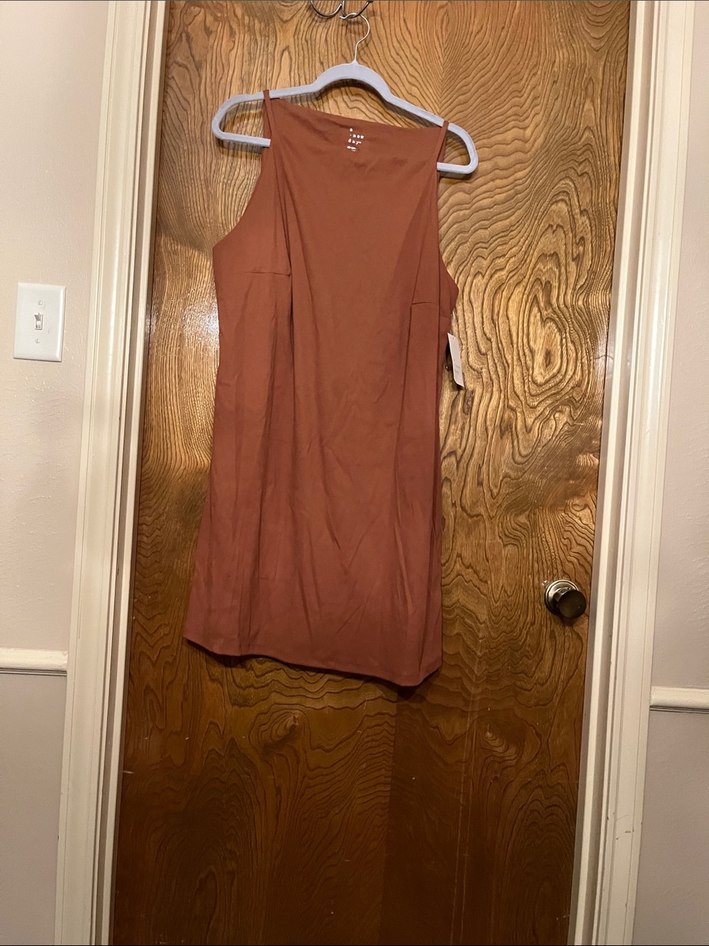 XXL Rust A New Day Sleeveless Rust Mini Dress